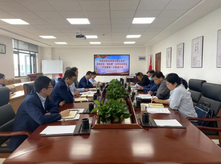 市政府国资委督导乐动在线官网-乐动在线（中国）
国企改革三年行动“回头看”工作完成情况(图1)